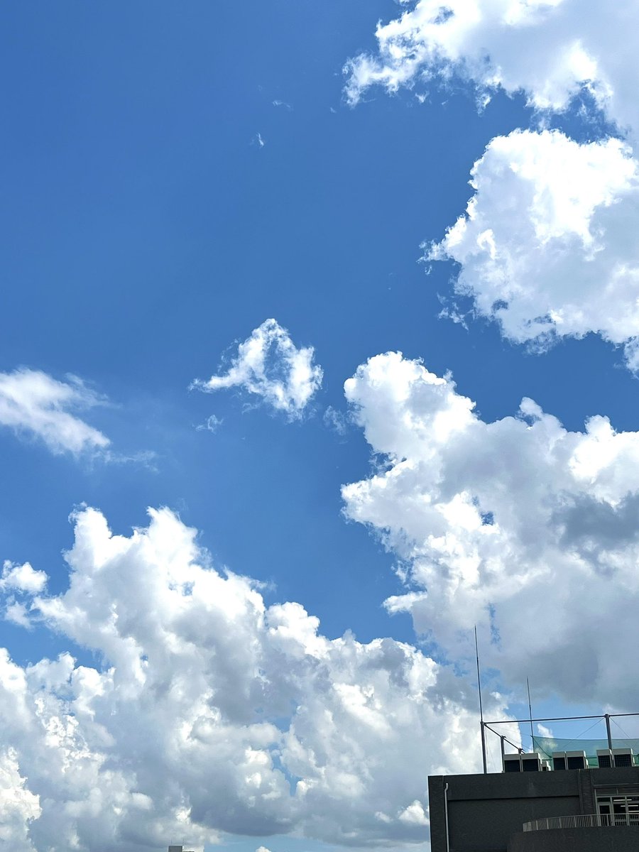 hAck-Ø.(ハックオー) tweet media