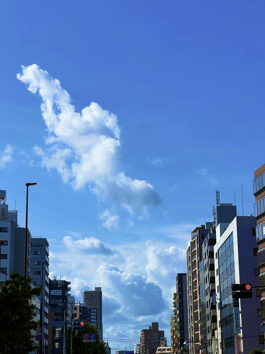 hAck-Ø.(ハックオー) tweet media