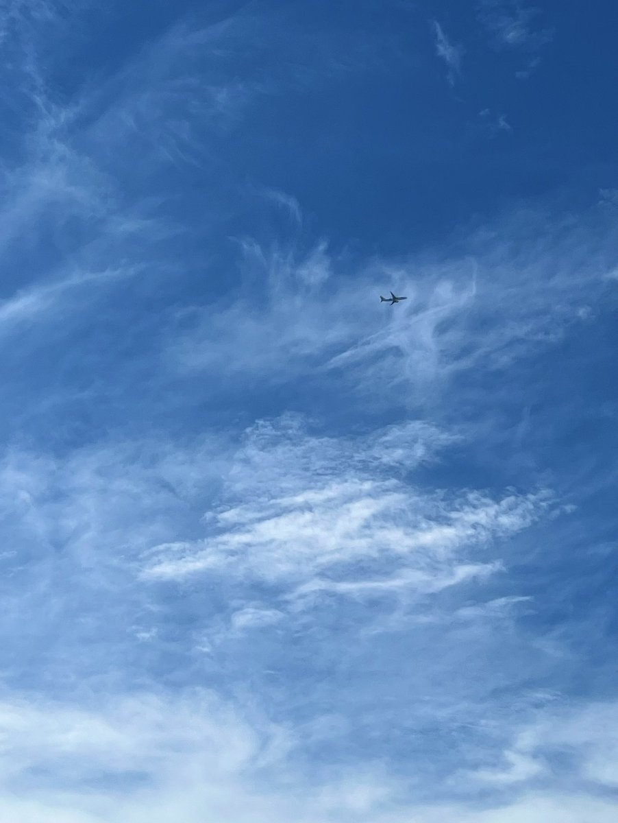 hAck-Ø.(ハックオー) tweet media