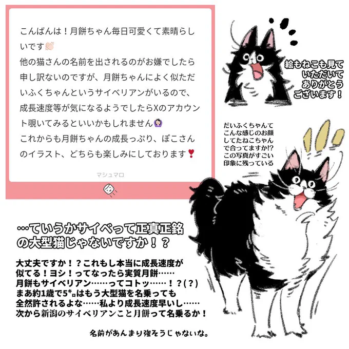 マシュマロ返信です! 