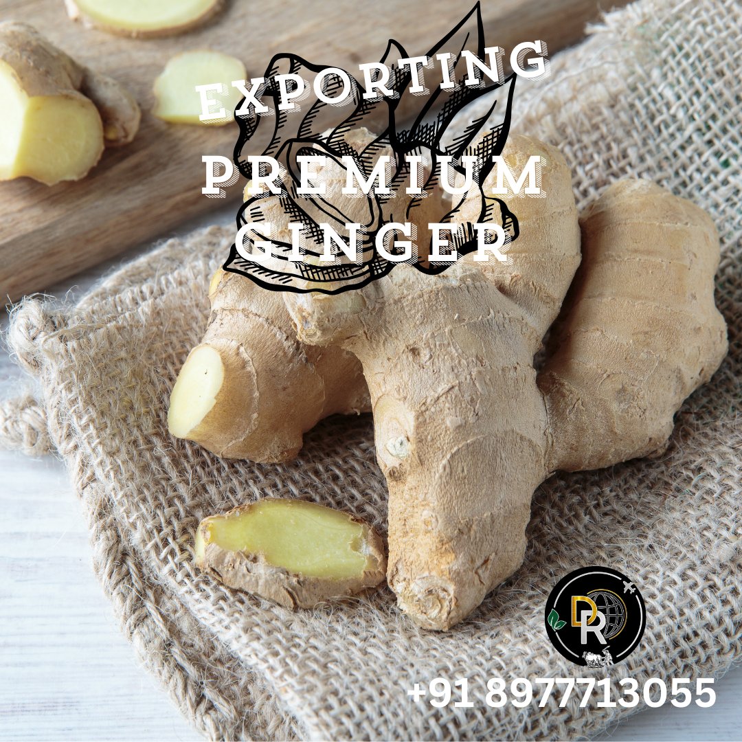 DRGlobalCompany's tweet image. &quot;Ginger that&apos;s a cut above the rest, globally!
Our premium ginger is carefully sorted and graded for optimal quality.
#GingerExcellence #PremiumGinger #RiceSorting #ExportQuality&quot;