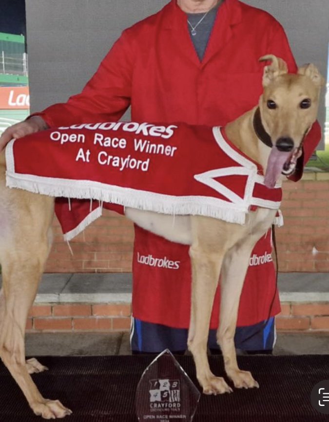 Joe Andrews tweet media