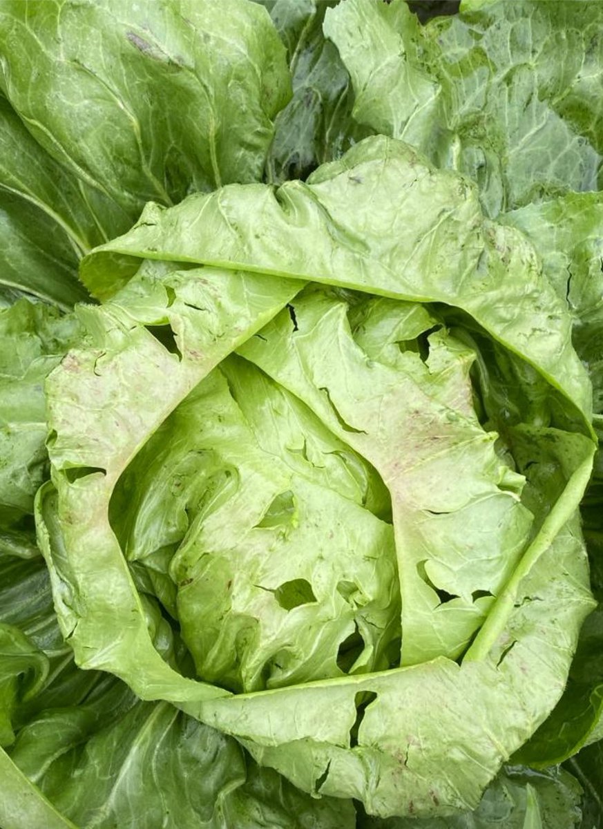 Dinge die wirklich unnötig sind: Hagel im September 🤬