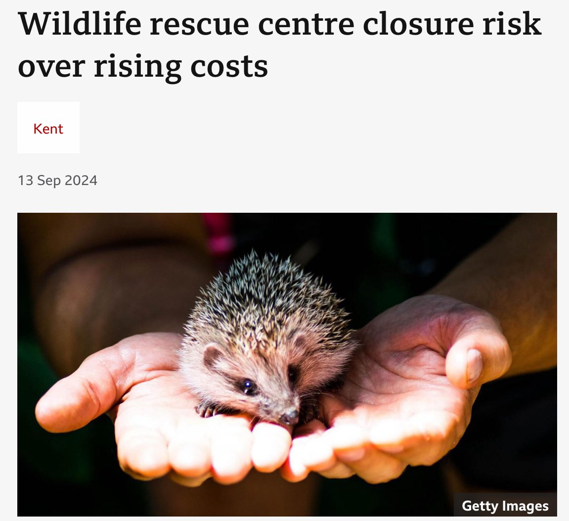 Our plight has been covered by <a href="/bbcsoutheast/">BBC South East</a> news. Please help #savefolly by sharing our posts to maintain momentum and donate to our campaign justgiving.com/campaign/savef…

bbc.com/news/articles/…