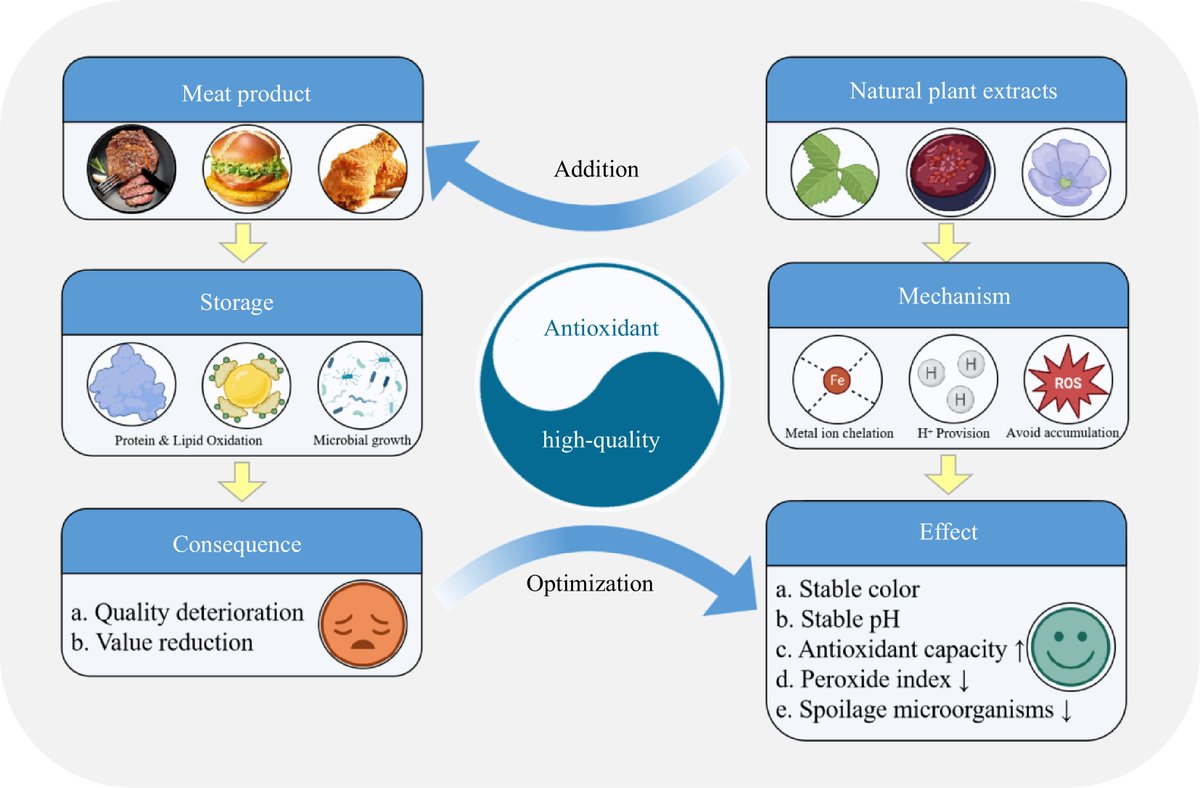 FoodAdvance1's tweet image. #FMR #FoodScience #NaturalAdditives
🌿 Natural plant extracts (NPEs) boost meat quality by reducing oxidation and inhibiting microbes. A meta-analysis reveals their impact on safety and preservation.
@MaximumAcademic @sbronzwaer @wileyfoodsci
Details: doi.org/10.48130/FMR-2…