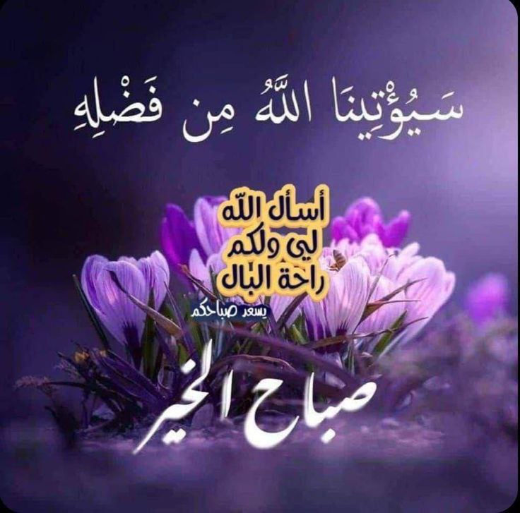 KhalifaModest's tweet image. #صباح الخير ثم ،
 برغم كلّ الأثقال التي نحملها في قلوبنا ، لا يزالُ هناك شخصٌ ، أو حلمٌ ،او شيءٌ ما يُهوّن علينا كلّ ما نمرُّ به💜💖