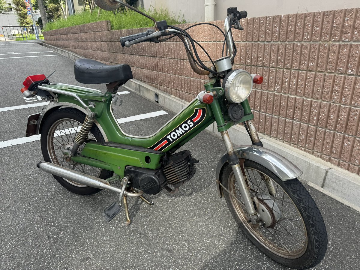 綺麗な顔してるだろ。
ウソみたいだろ。