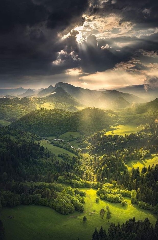 earthcurated's tweet image. Peace 💚🍃