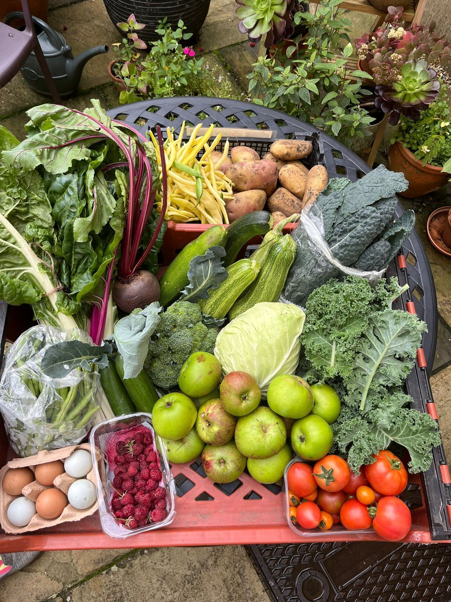 A rainbow harvest festival from Bloomfield allotments donated to <a href="/Oasis_Bath/">Oasis Bath</a> Roundhill Pantry this week.
Since the growing weather improved at the end of July, Bloomfield have generously donated abundant produce every week.
Thank you!