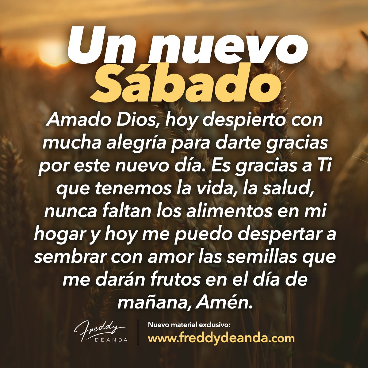 FreddyDeAndaOficial (@andaoficial) on Twitter photo 