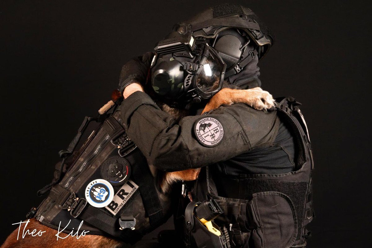 darksystemsnews's tweet photo. #k9helmet #k9 #k9unit #police #army #team https://t.co/Rfgq8ziRCo