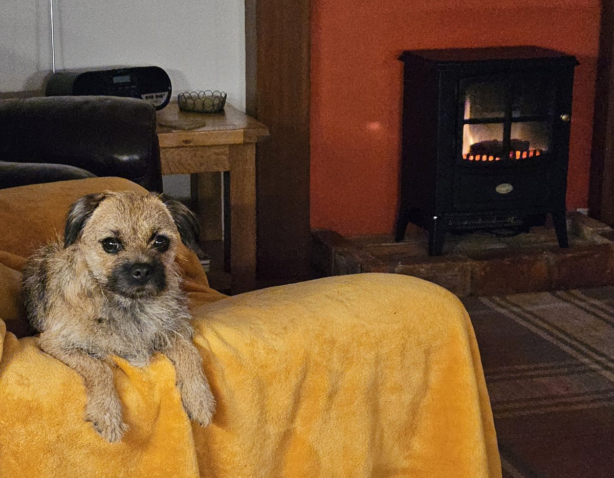 formerly Tilly BT, but now with Maggie tweet media