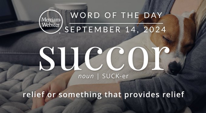 Merriam-Webster Word of the Day September 14, 2024 'succor' noun | SUCK-er "relief or something that provides itself" Background Image: a person holding a dog