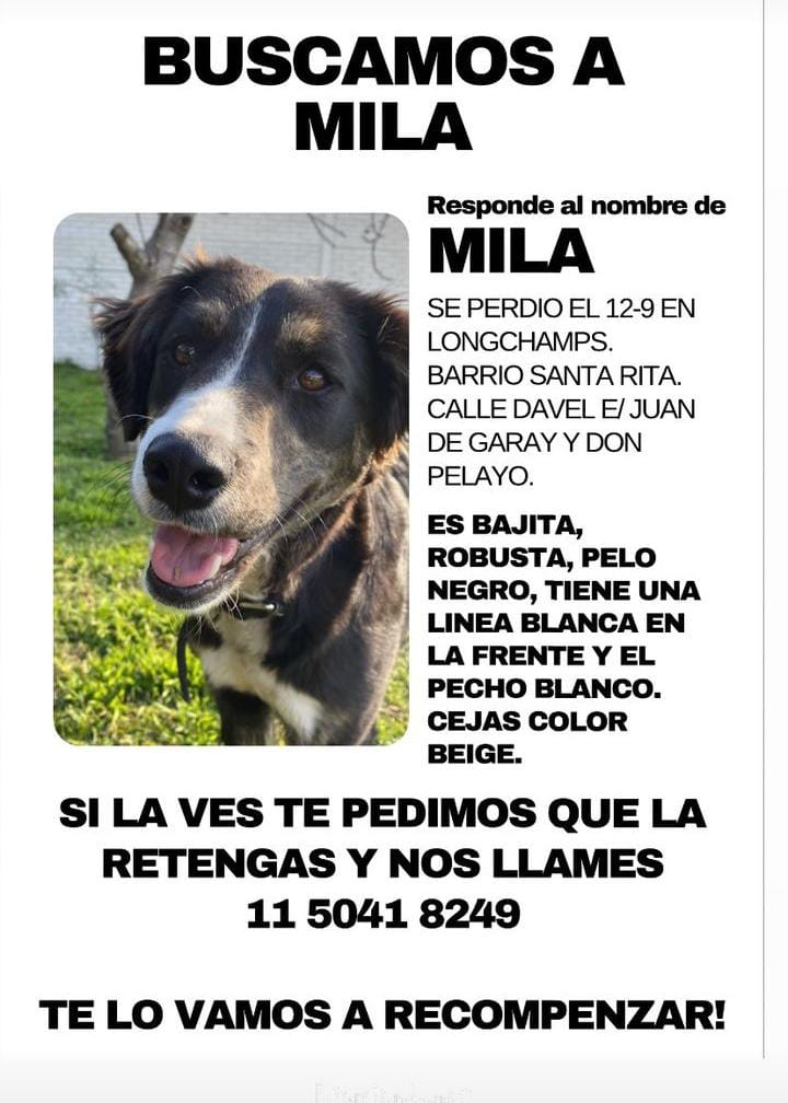 grantfer's tweet photo. Difundo https://t.co/D77mCqnGEh