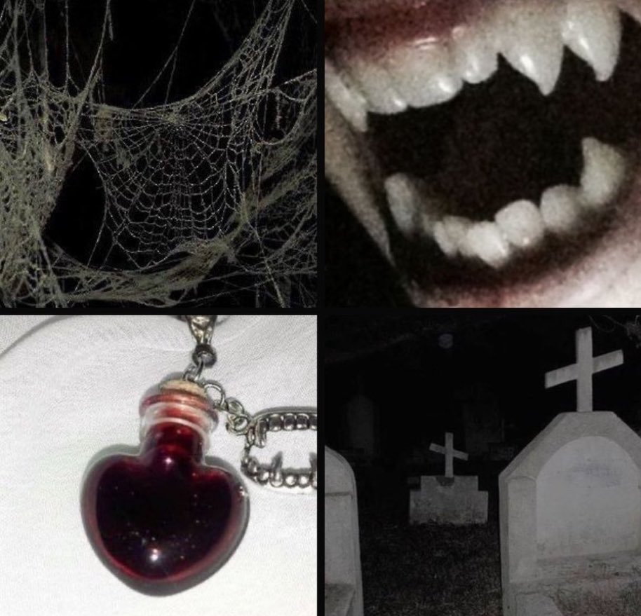 🦇 𝐭𝐡𝐞 𝐯𝐚𝐦𝐩𝐢𝐫𝐚 𝐬𝐡𝐨𝐰 | nsfw tweet media