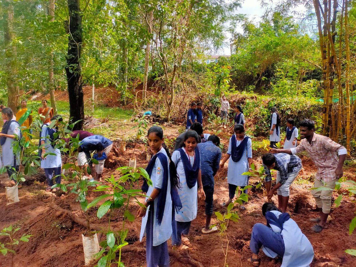 nssrdbangalore's tweet photo. KSS college, Subarmanya, Mangalore University, NSS Units organised Tree4Mother Programme. @YASMinistry @_NSSIndia @mansukhmandviya @khadseraksha #Tree4Mother https://t.co/htaqVdhqk9