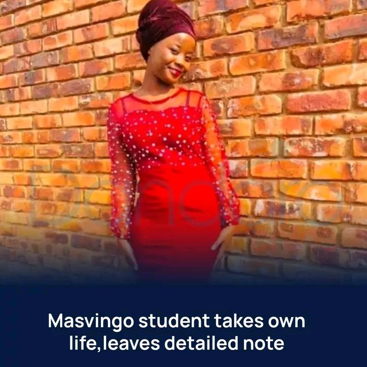 Dandaro Online tweet media