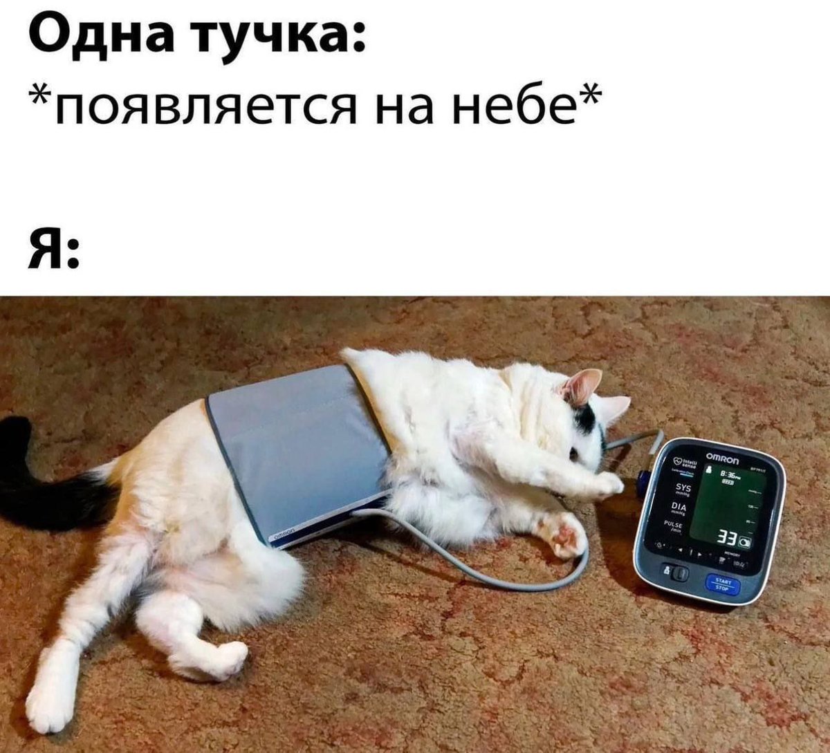RussianMemesLtd's tweet photo. One cloud: 
*appears in the sky*

me: https://t.co/dDguyz8xcZ