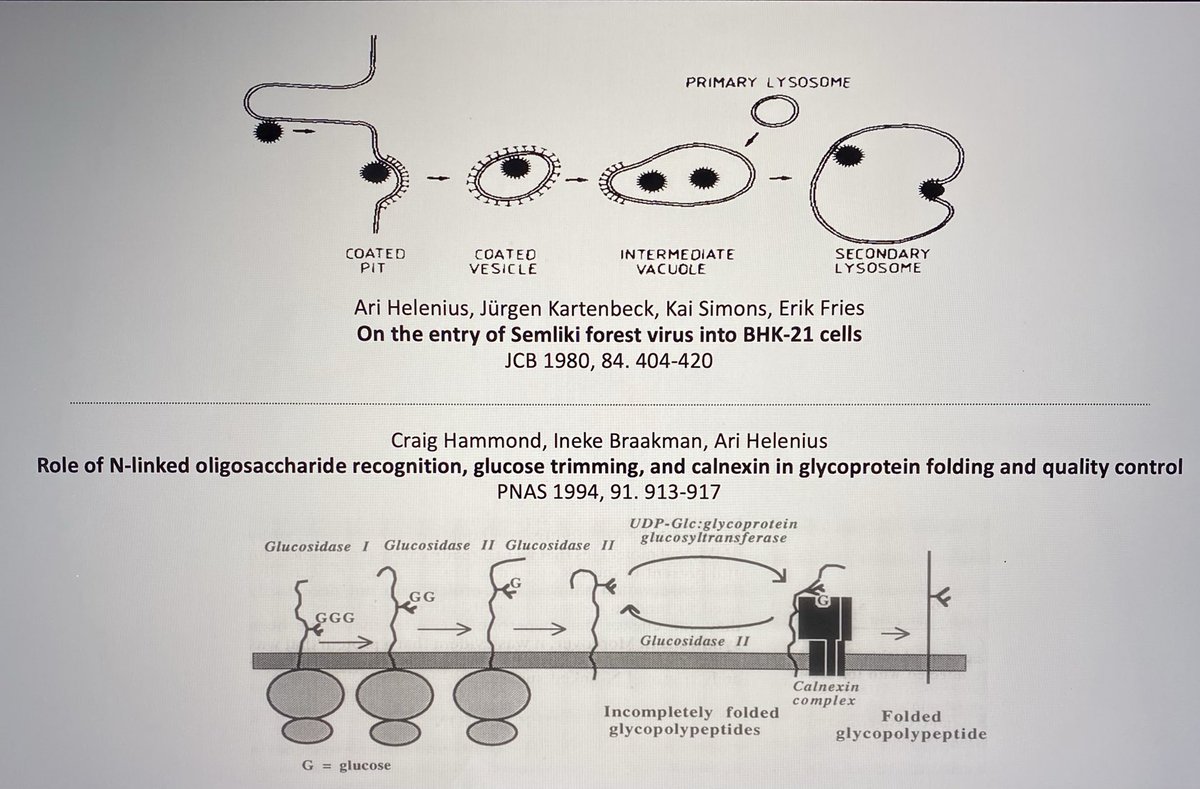 maurizio molinari tweet media