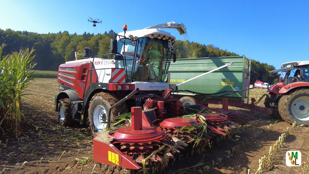 ModernLandwirt's tweet image. Frau und Hund geraten in Maisgebiss von Häcksler

Am Vormittag des 13.09.2024 erging der Notruf, dass auf einem Feld nahe Perl-Münzingen eine Person in einen Maishäcksler geraten sei...
#Maishäckseln #Maishäcksler #Unfall #UnfallHäcksler
moderner-landwirt.de/frau-und-hund-…