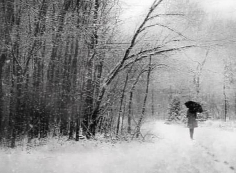 OutlawsPoetic's tweet image. “Few people know how to take a walk. The qualifications are endurance, plain clothes, old shoes, an eye for nature, good humor, vast curiosity, good speech, good silence and nothing too much.”

—Ralph Waldo Emerson