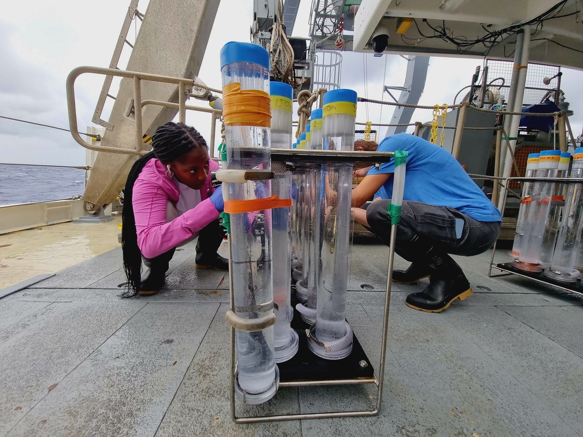 The gel cups are back! Time for processing samples! #NSFREU #NSFfunded