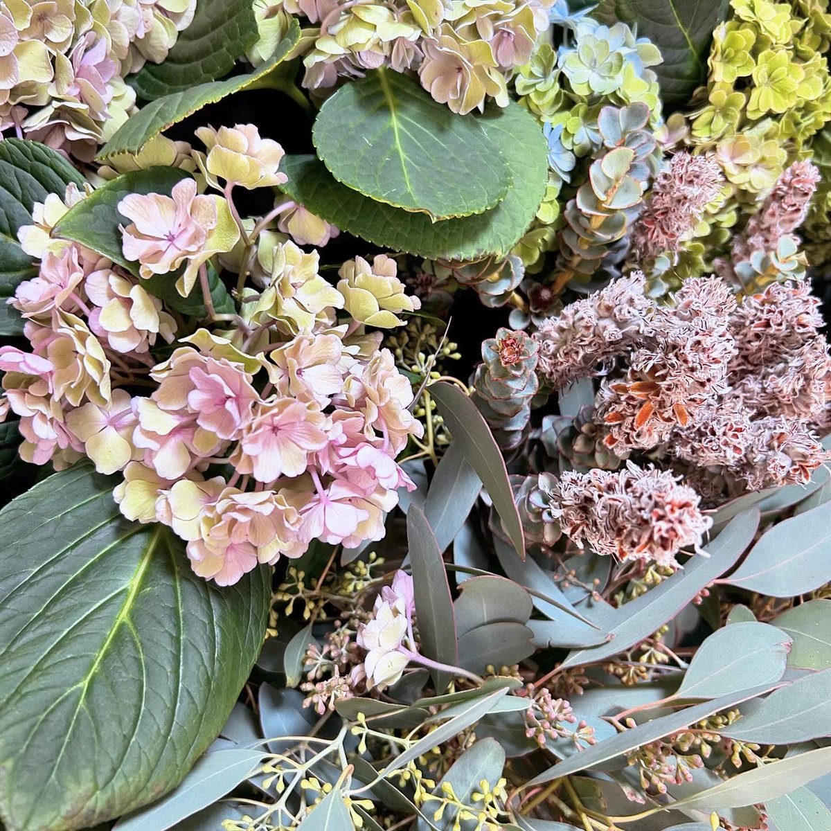 SHOParcobaleno's tweet photo. #9月/長月❦#SEPTEMBER
グレゴリオ暦で第9の月:30日
夏と秋の境目の季節
和名月名
夜長月・彩月・紅葉月・稲刈月・菊月など
旬の植物
ススキ・菊・コスモス・リンドウ
桔梗・ケイトウ・ダリアなど
#autumn #hydrangea #eucalyptus #aussieplants #flower #photography #photo #秋 #暦 #写真 #花 https://t.co/yBtyAATd87
