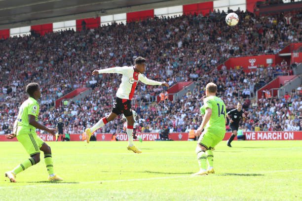 𝐝𝐚𝐫𝐤 tweet media