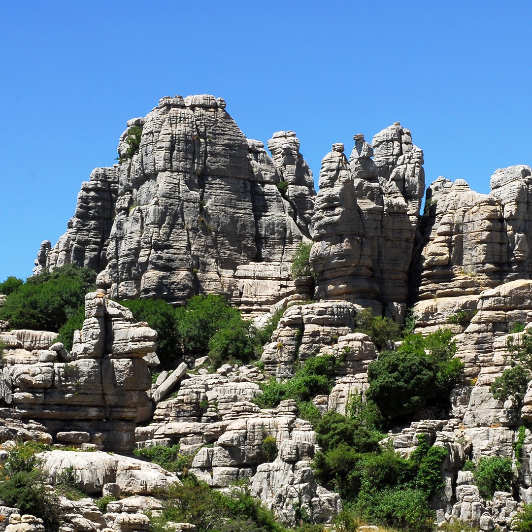 maravillas24hs's tweet image. 🌿 Discover El Torcal de Antequera with our Spanish program for adults! 🌍 Explore the stunning landscapes of Málaga &amp;amp; Andalucía while practicing Spanish in a unique setting. 🏞️✨ Join us for unforgettable experiences among ancient rock formations💬📚 #spanishLearning #travel