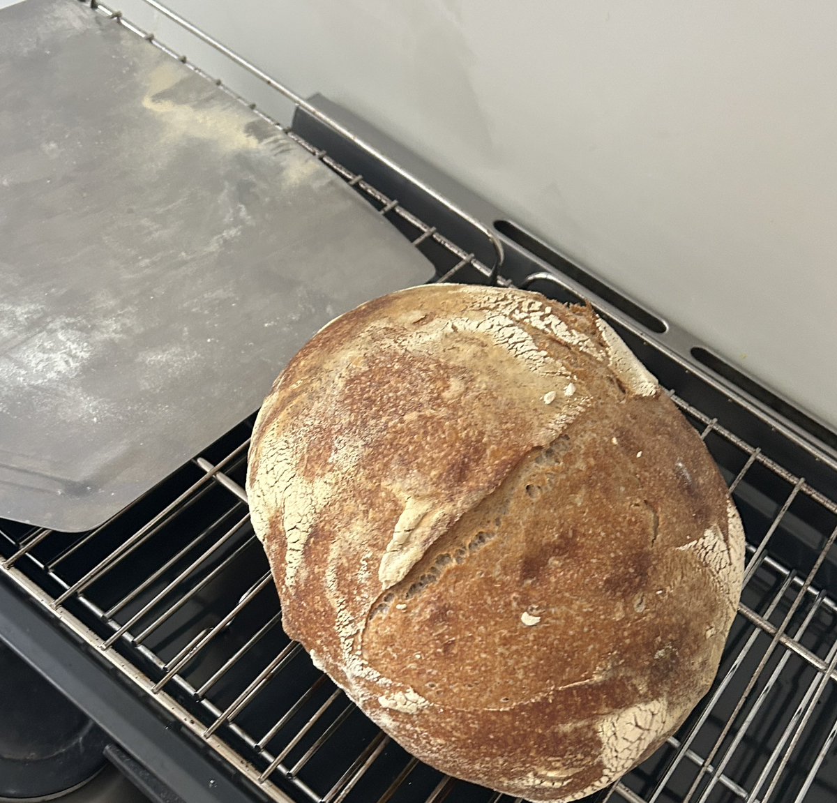 SharafiCo's tweet image. #Breakfast is the most important meal of the day. Crushed #avacado with tomatoes and #poached eggs. Little bit of chilli flakes essential. Of course before that #baked my #sourdough #loaf