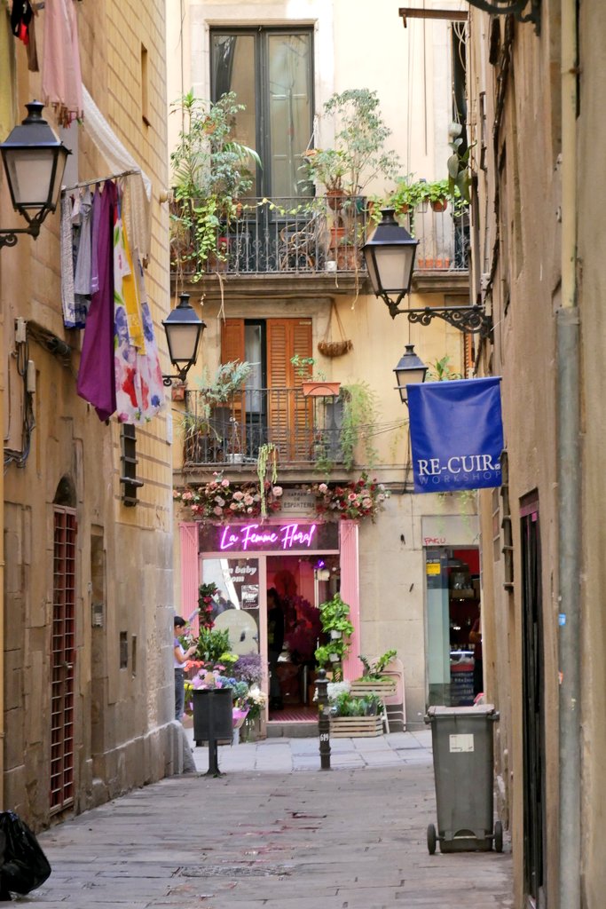 Ryan | A Single Step 👣 tweet media