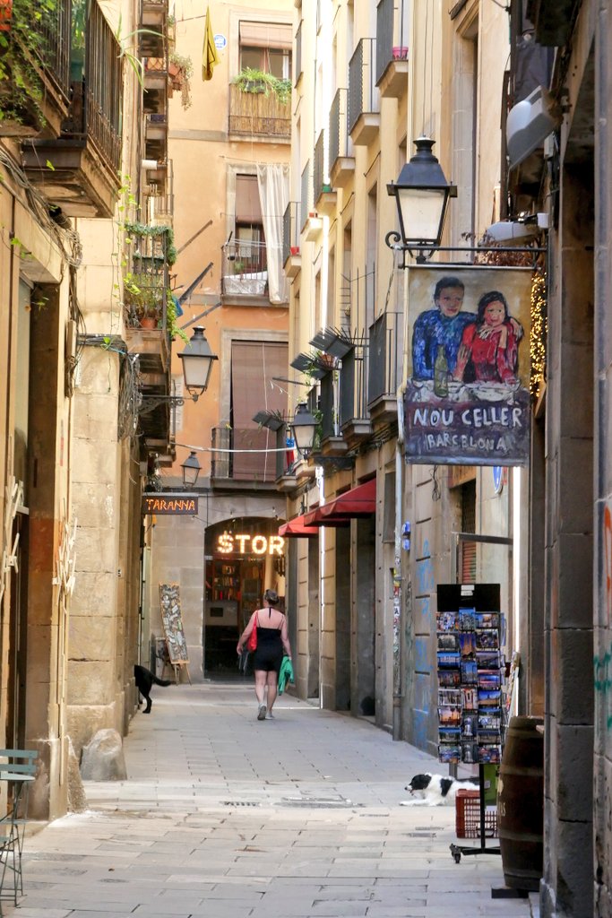 Ryan | A Single Step 👣 tweet media