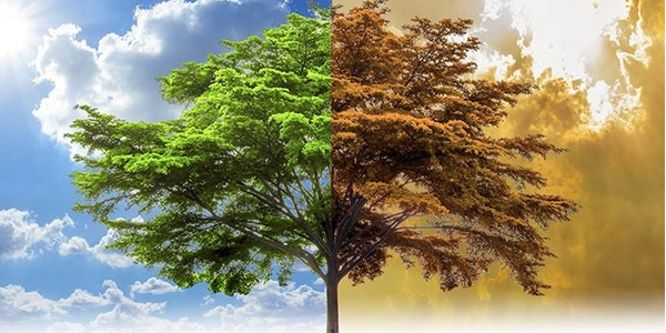 Please join us on 25 September to hear Professor Gretta Pecl AM discuss climate change in Tasmania, including the collaborative, interdisciplinary and novel approaches underway here to better communicate the complex issues that surround it.

Registrations: aiiatas.glueup.com/event/119340/