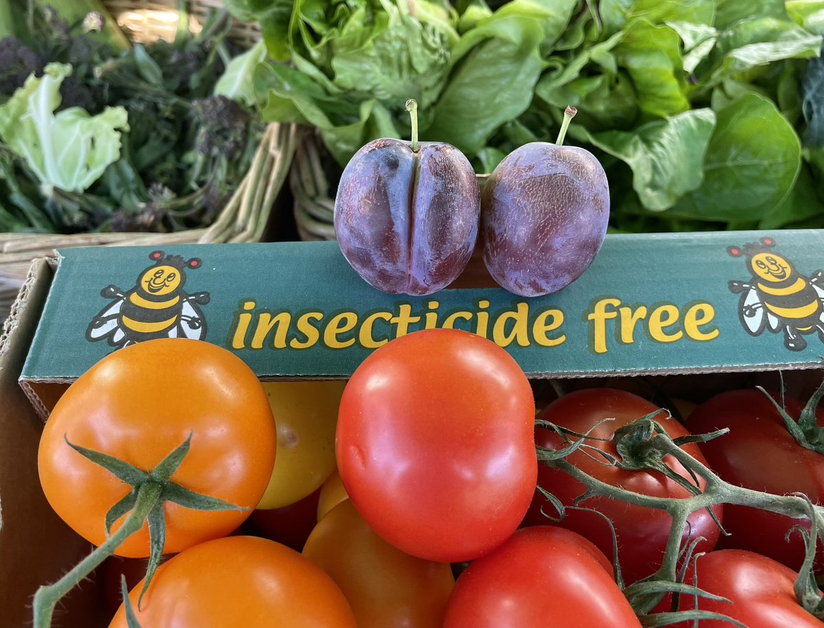 FoodFloat tweet media