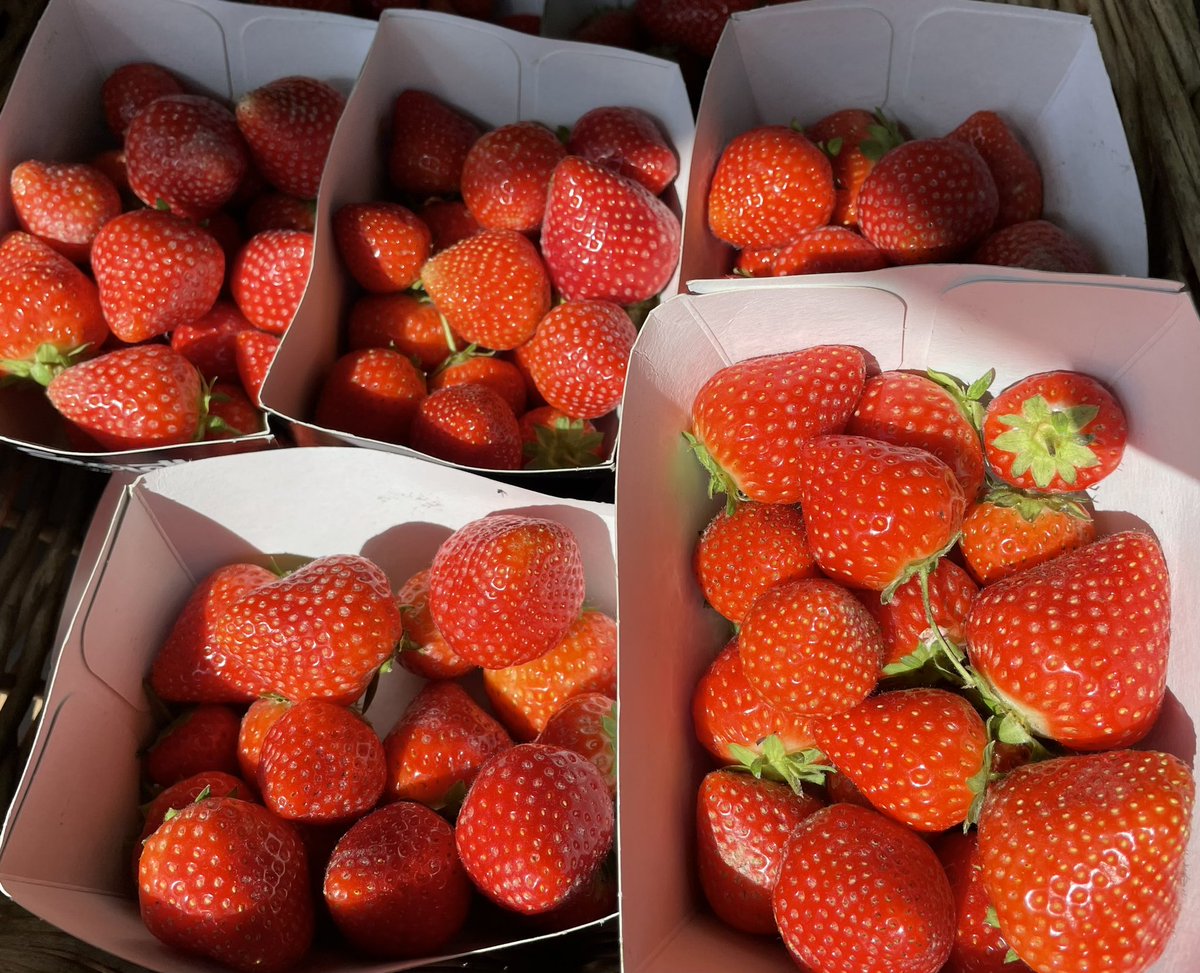 FoodFloat tweet media