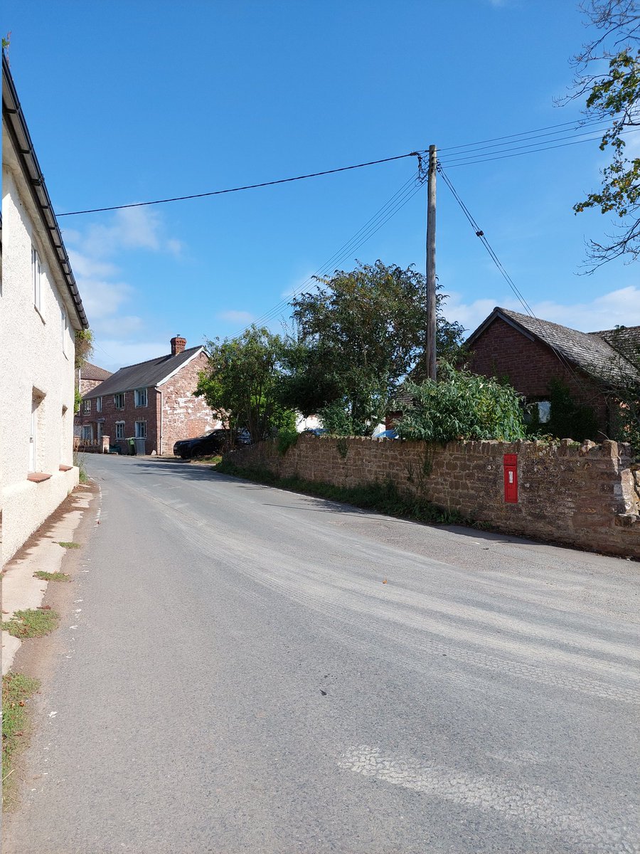 Catherine Polley tweet media