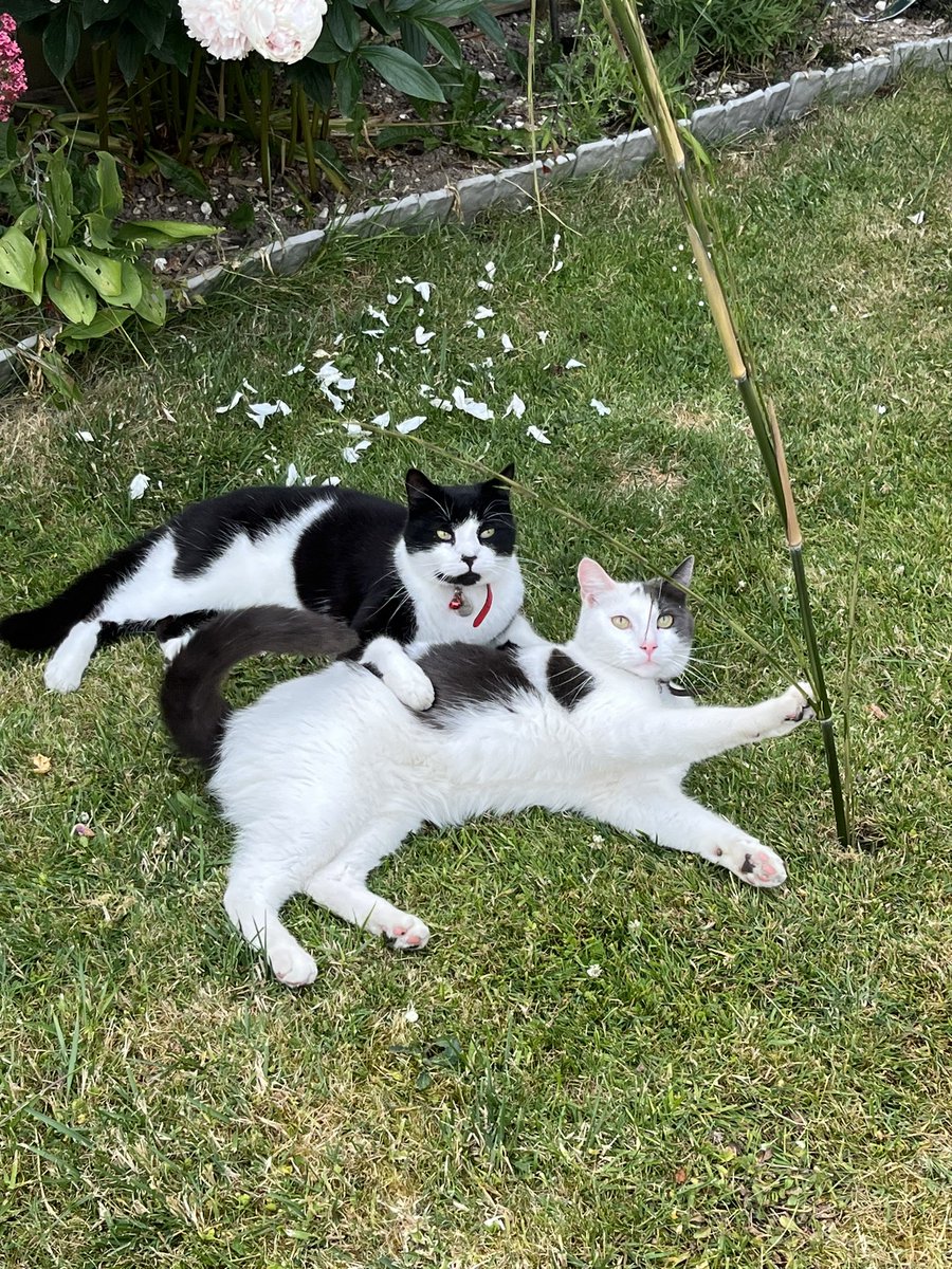 Eleanor W tweet media