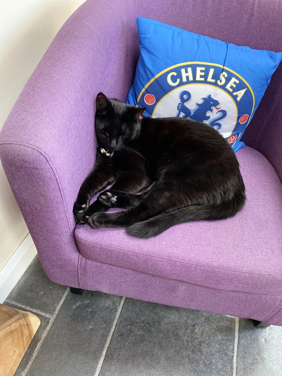 Eleanor W tweet media