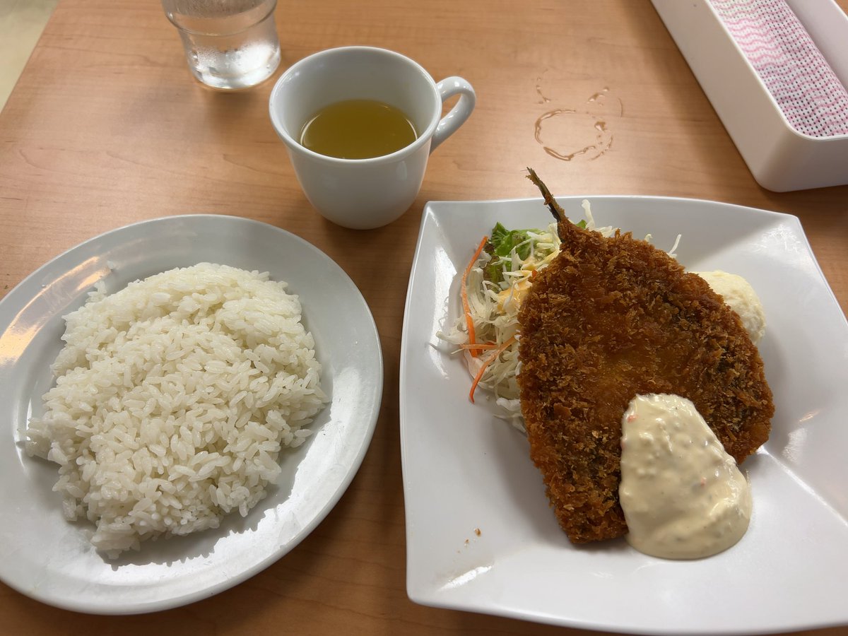 国会図書館のアジフライ予想外に美味しかった
(そもそもアジフライを口にするのが久しぶりだから余計にそう感じるのかも)