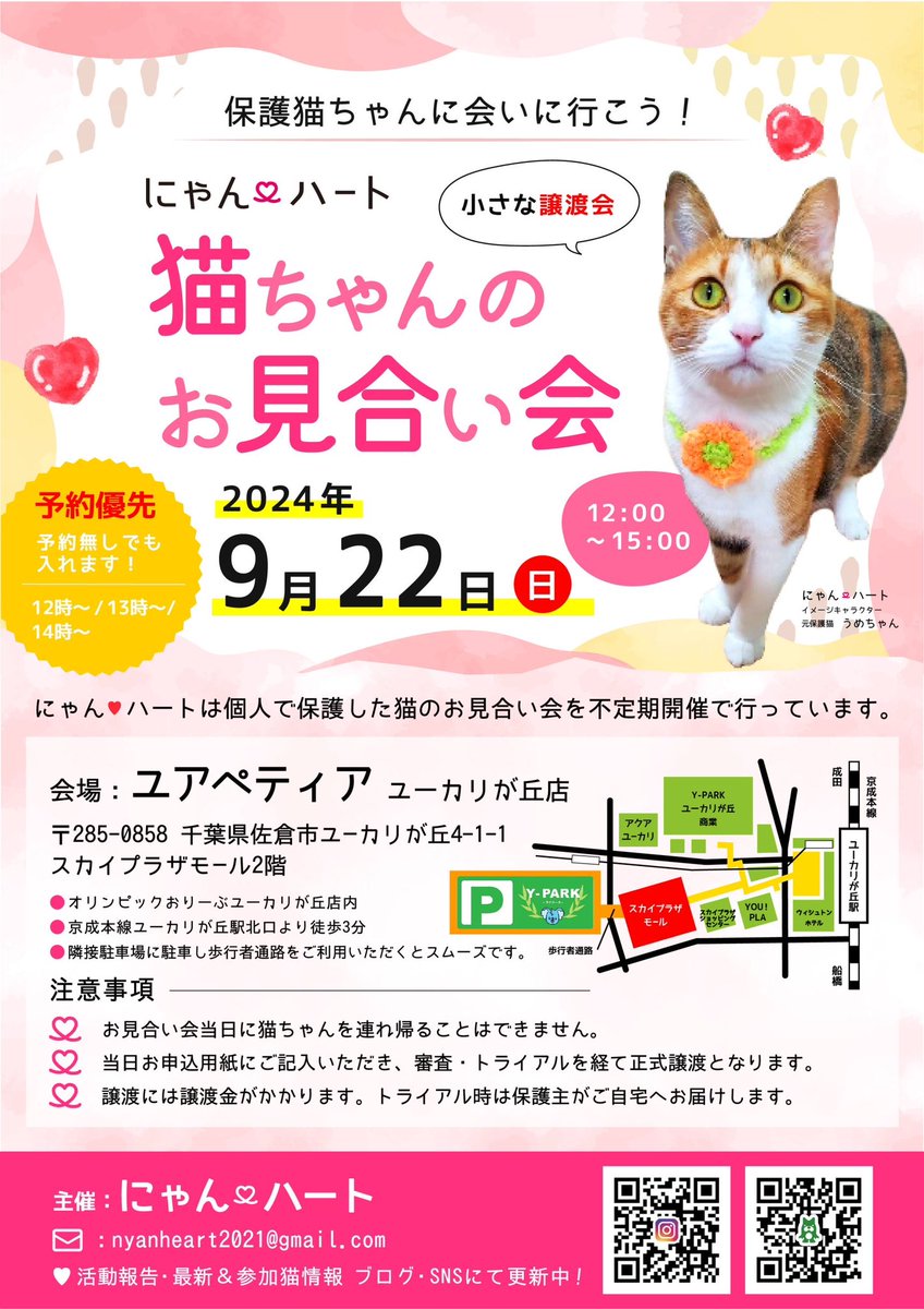 CocoRoro_Sako's tweet photo. 2024年のにゃんハートのお見合い会(小さな譲渡会)は、9/22(日)は佐倉市のオリンピックおりーぶユーカリが丘店内にある、「ユアペティア　ユーカリが丘店」で初開催予定です。
9月より、毎月第4日曜日に開催しますので近隣の方、そうでない方も是非お越しくださいませ。 https://t.co/pm7ES1oqRY