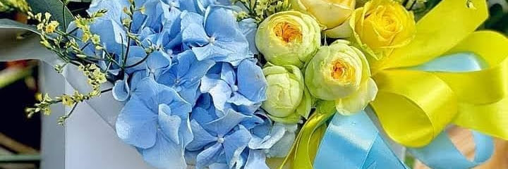 Zoya Zoya 🎀 tweet media