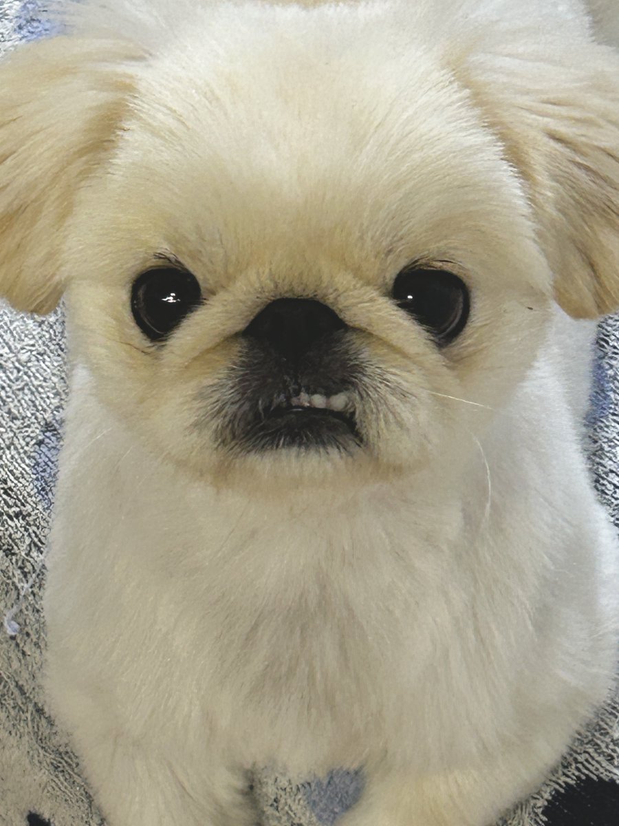 えるつぁん、歯出てるの気づいてる❓