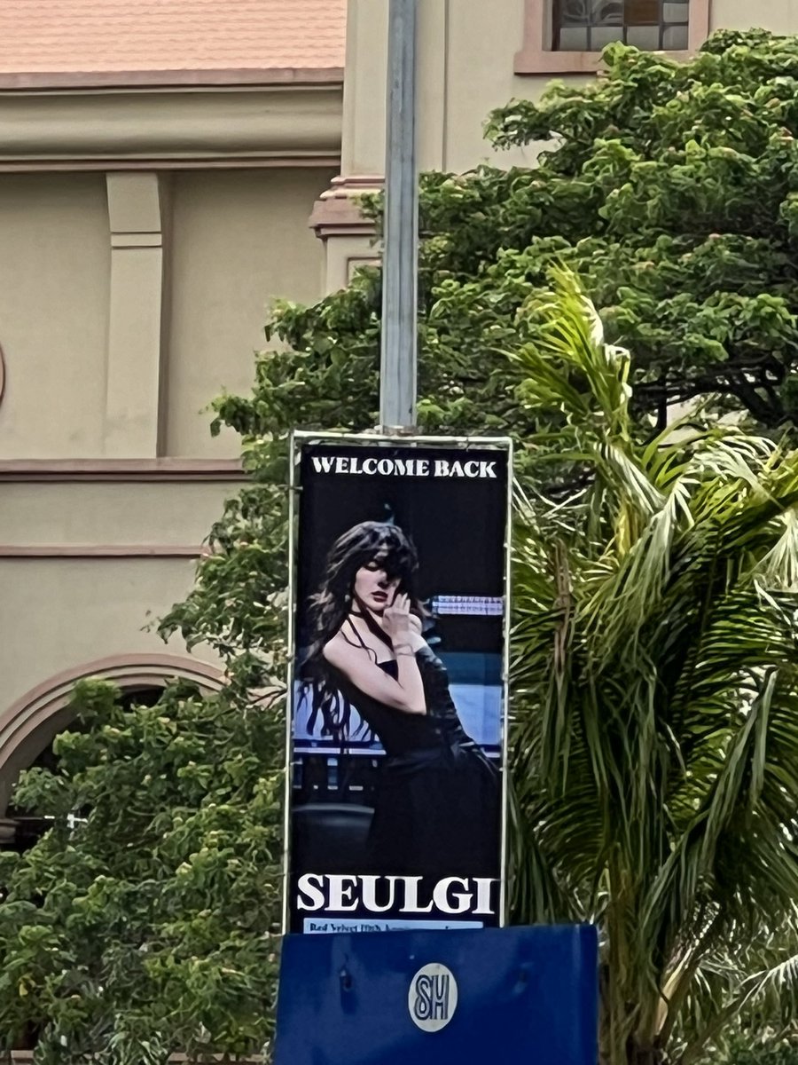 schindlee & zylberstein tweet media