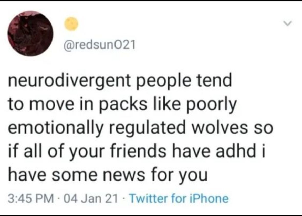 ADHD Memes tweet media