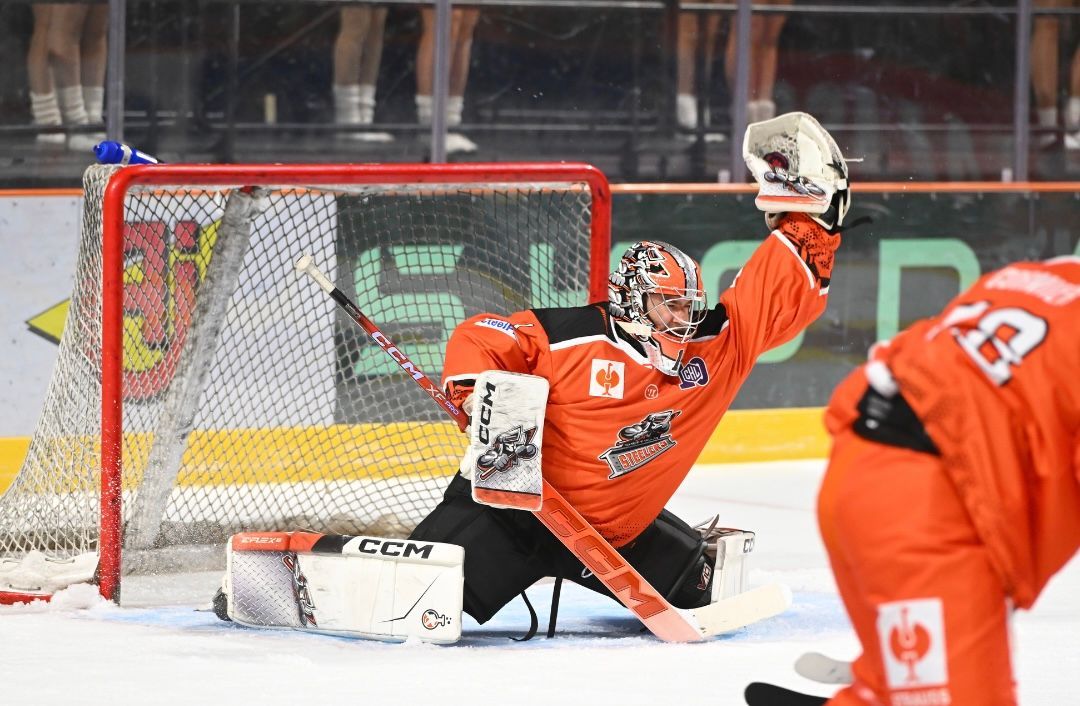 TriggerHub Sheffield Steelers tweet media