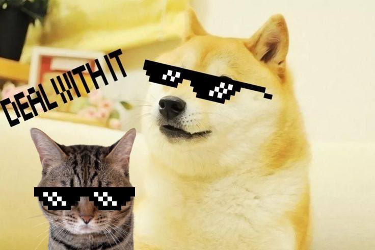 Deal with it ! We are $TORO