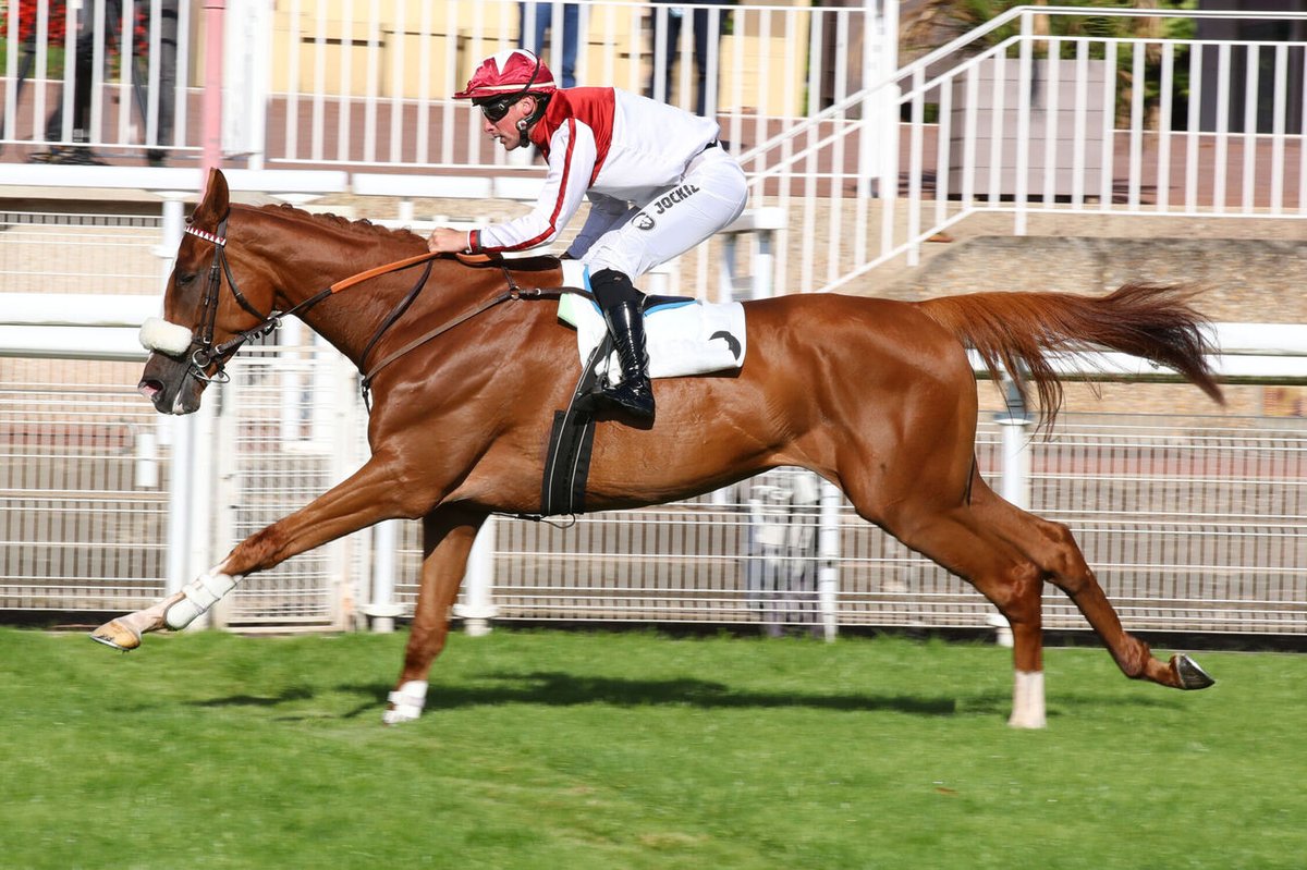 CharlyMilpied's tweet photo. Kurasso Blue (Y. Fouin) remporte le Prix Finot Peloton A !

Le seul qui n'avait pas franchi la haie d'essai, comme quoi ... 🤭.

@baptiste_clerc https://t.co/zW2n1gGVGz