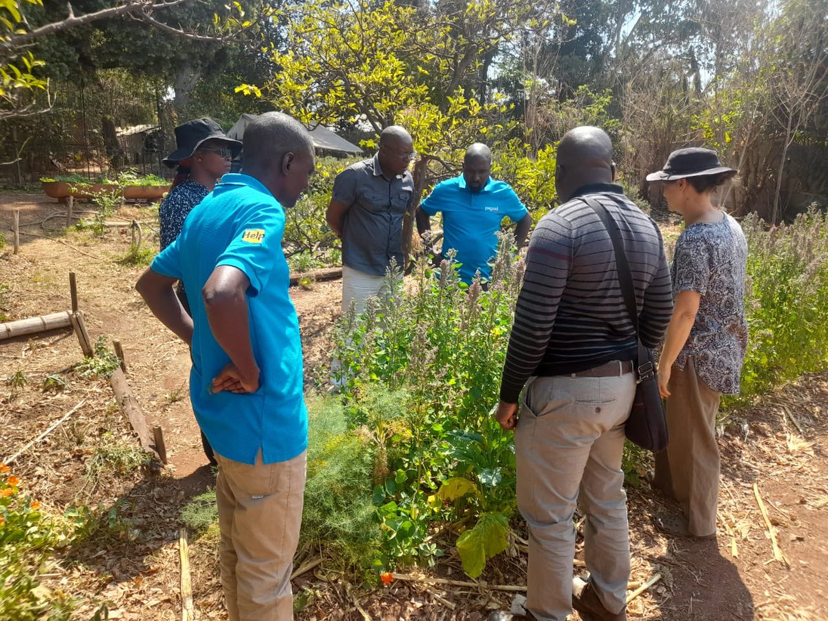 PigadZimbabwe's tweet photo. 🌍✨ Exciting times at pigad! Our team just wrapped up a Training of Trainers(ToT) pre test of the Mrewa District Climate Change Adaptation Manual, facilitated by @AnnaBrazier, a sustainable development consultant. Ready to make a difference! 💪🌱 #ClimateAction #pigadTraining https://t.co/rlLPnznbj1