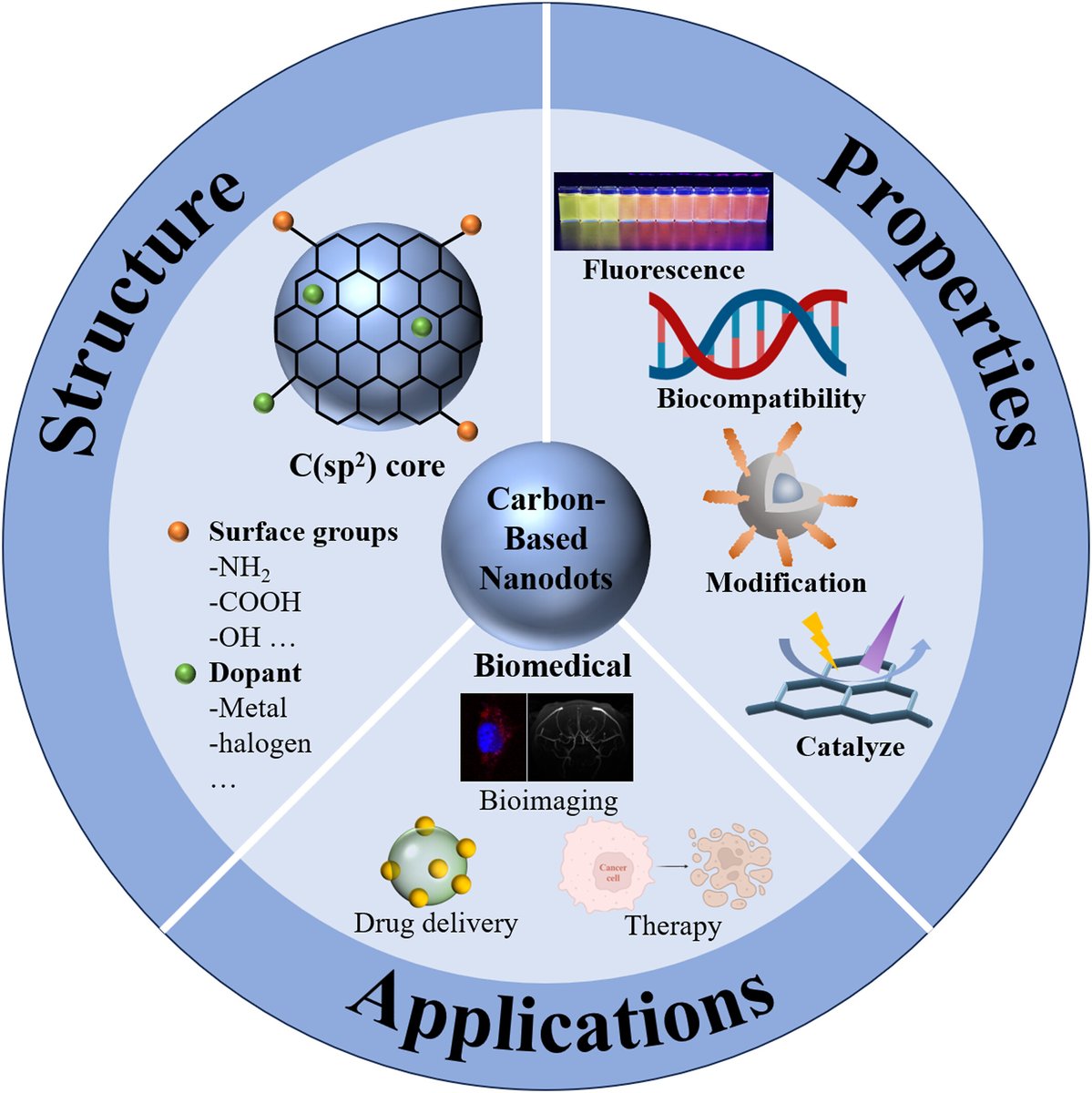 #BMEMat New review🔍
Carbon-based nanodots for biomedical applications and clinical transformation prospects.
<a href="/WileyBiomedical/">Wiley Biomedical Science</a>
Check in👉 onlinelibrary.wiley.com/doi/epdf/10.10…