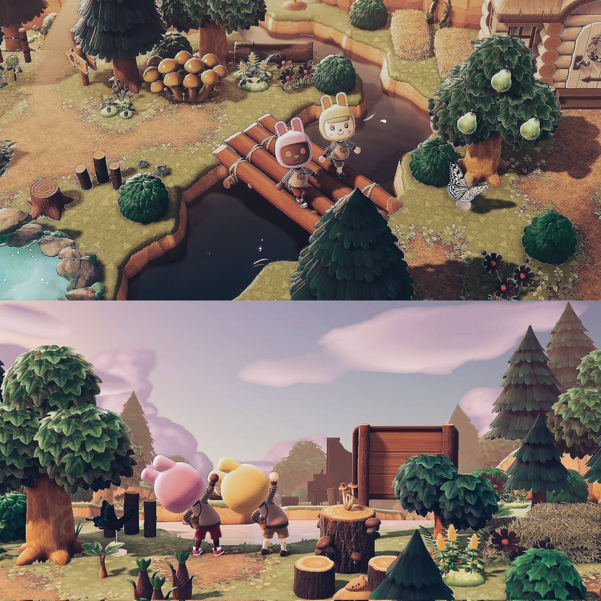 夕方のお散歩非常に良かった🫂

#あつ森写真部 #あつ森 #animalcrossing #ACNH